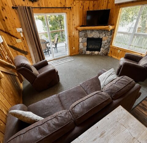 Cabin 4 Living Room