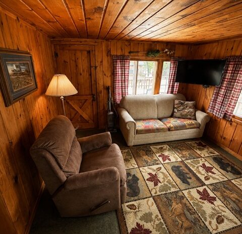 Cabin 6 Living Room