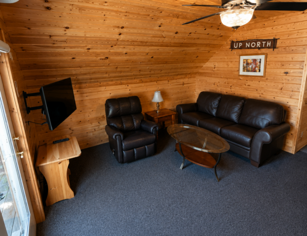 cabin 21 living room